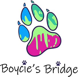 Boycie's Bridge